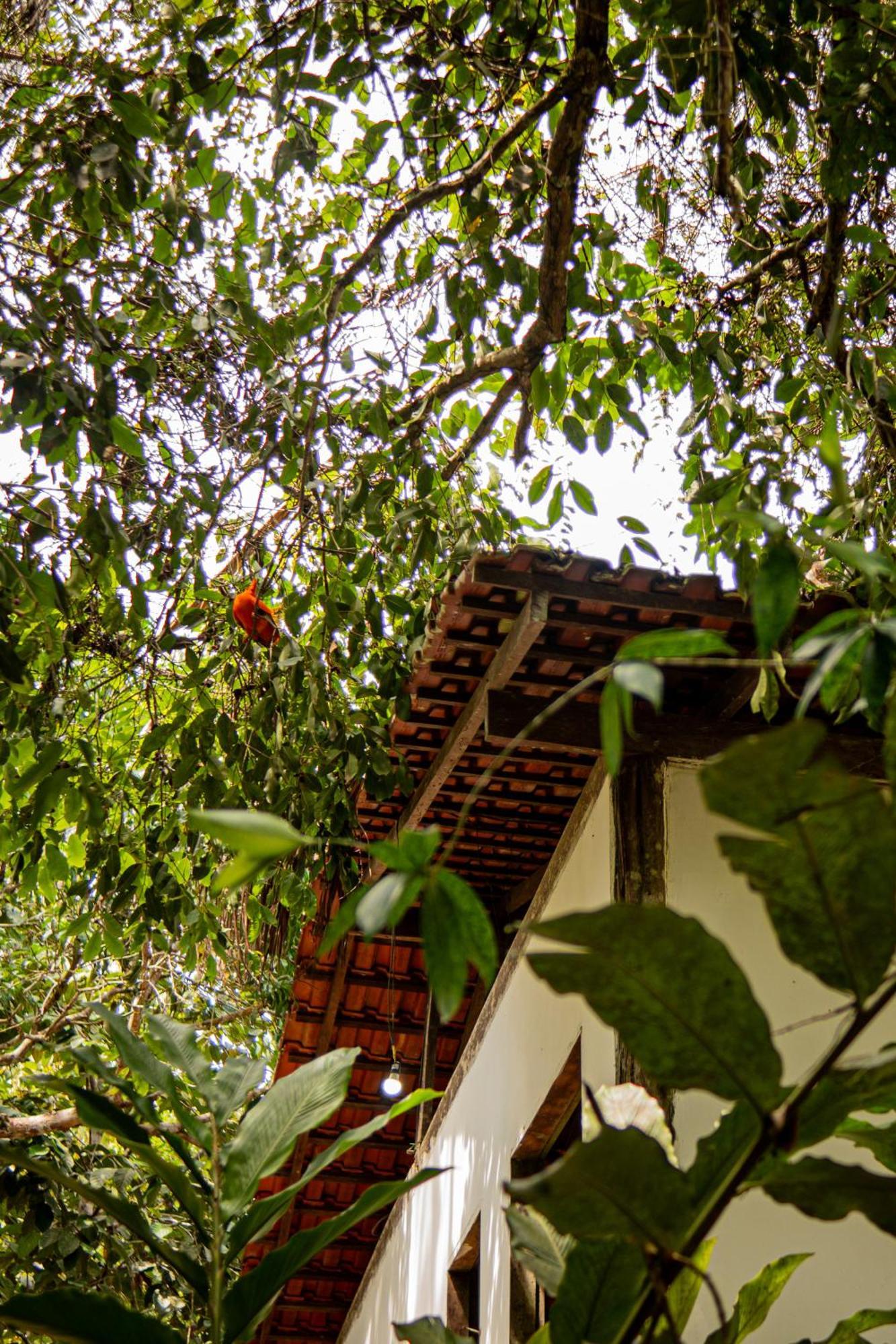 Refugio Mari Mari Lodge Presidente Figueiredo Exterior foto